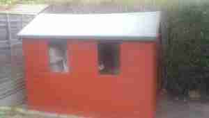 Handyman Luton re felt shed Roof and paint shed Luton
