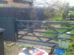 Fence painter near me .fence painting.fence painted