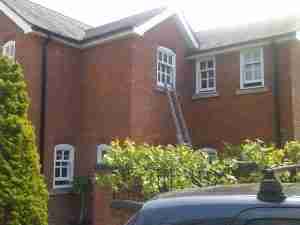 Painter Decorator